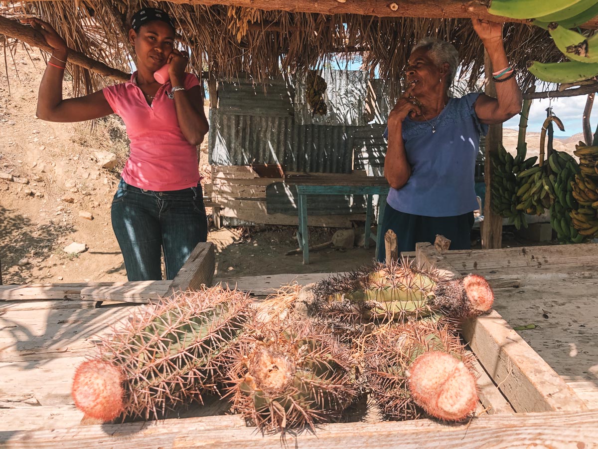 Two women behind a wooden table with grena de pina fruits