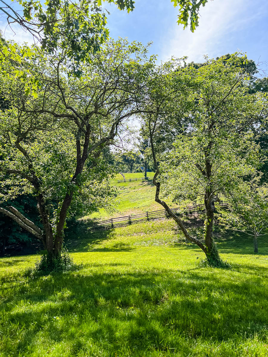 The view of Eel Creek Trail Oyster Bay Long Island