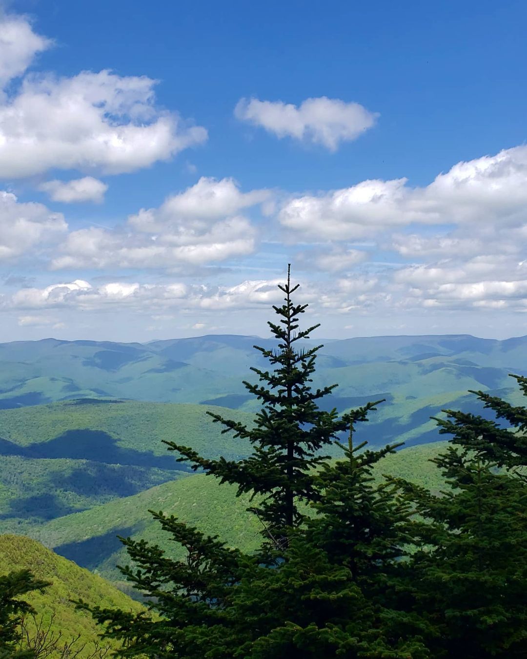 Slide Mountain Wilderness in New Paltz