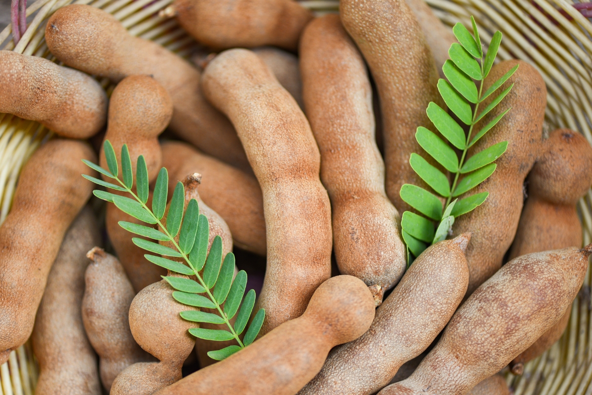 Tamarinds and leaves on a basket