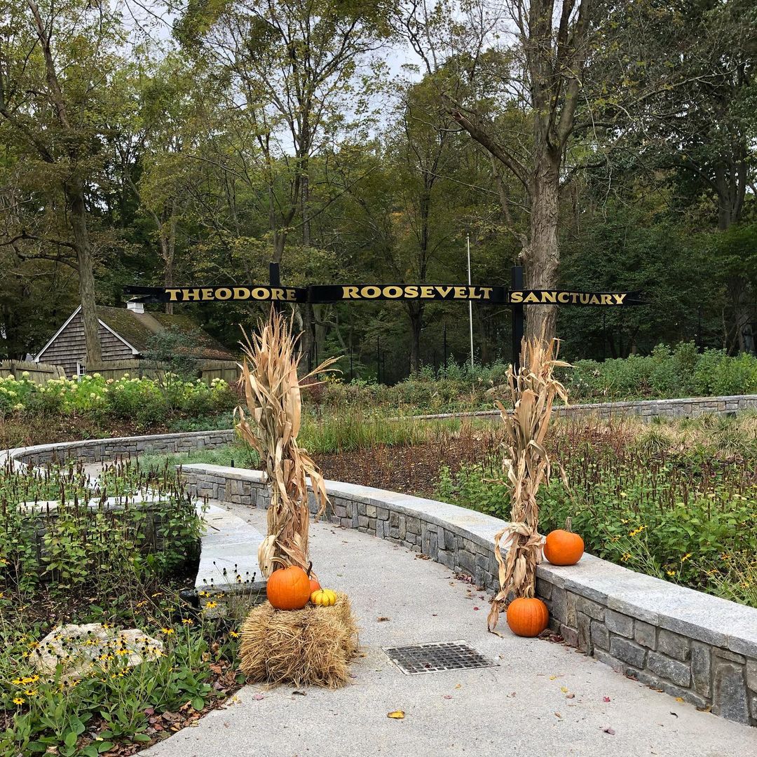 Theodore Roosevelt Sanctuary and Audubon Center with fall or halloween decors