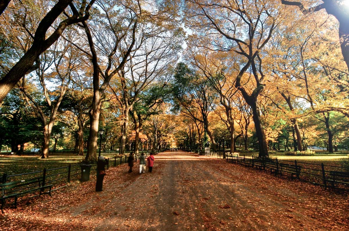 Three people walking at Central Park, New York City in November