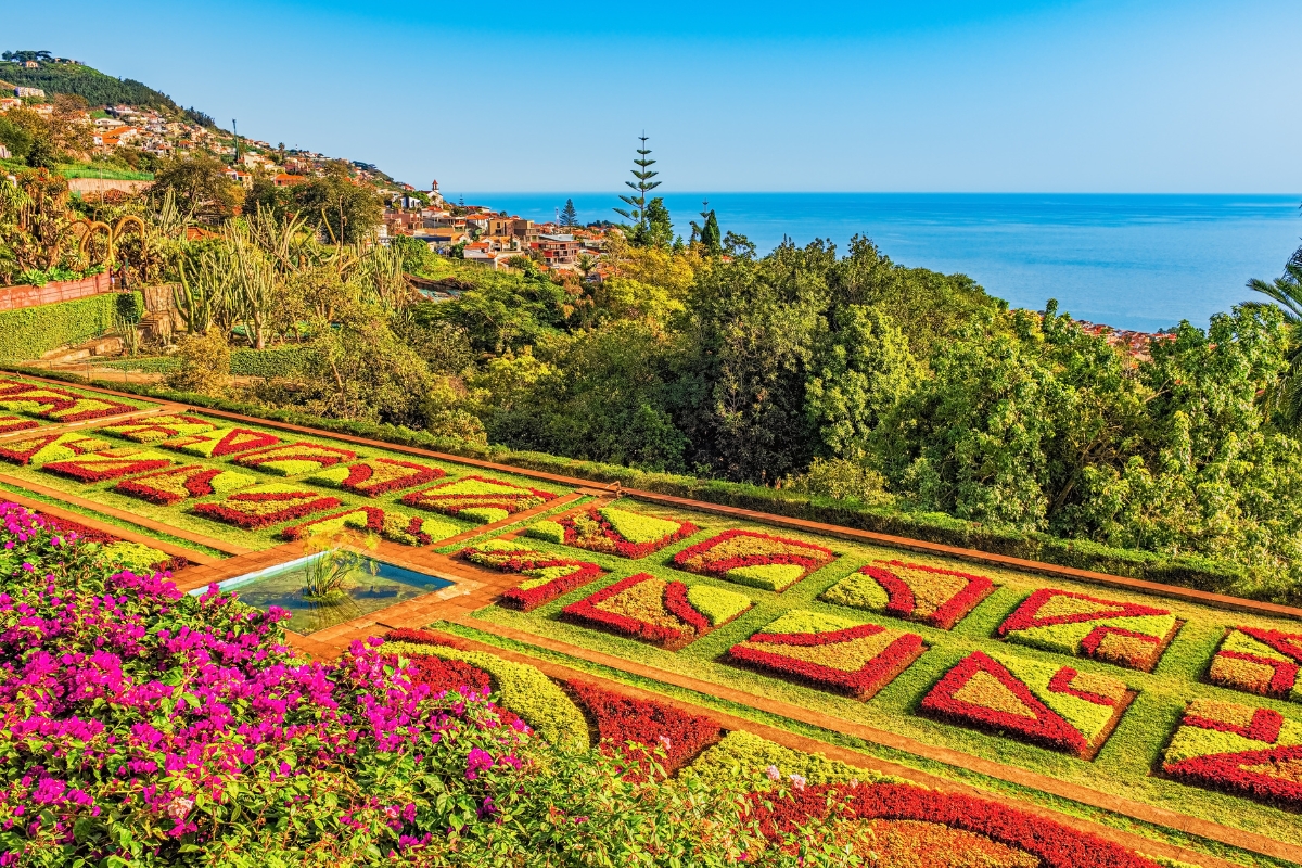 Flowers, bushes, and trees at Madeira Botanical Garden in Funchal