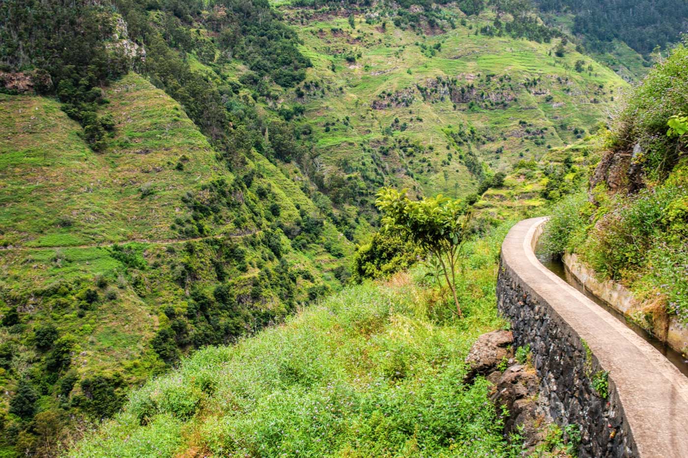 A concrete walking path surrounded by greenery at Levada do Moinho, Madeira, Portugal itinerary spot