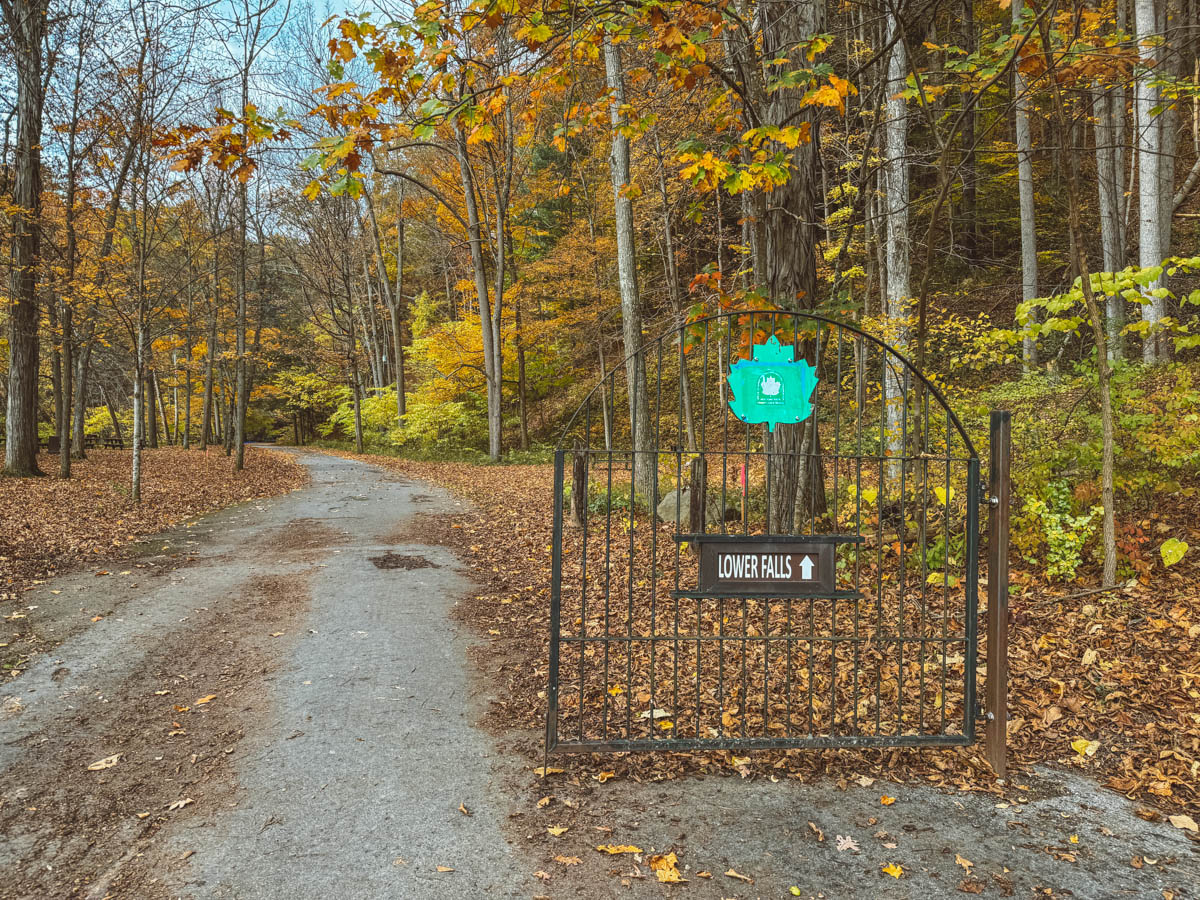 A sign at a gate that says "Lower Falls" at Robert Treman State Park