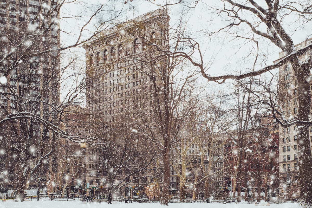 NYC January weather with snow falling on trees and buildings in the background