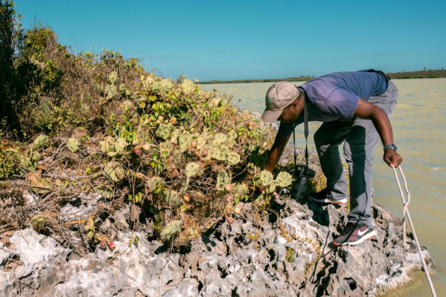 A man looking at plants by the waters in Laguna de Oviedo.