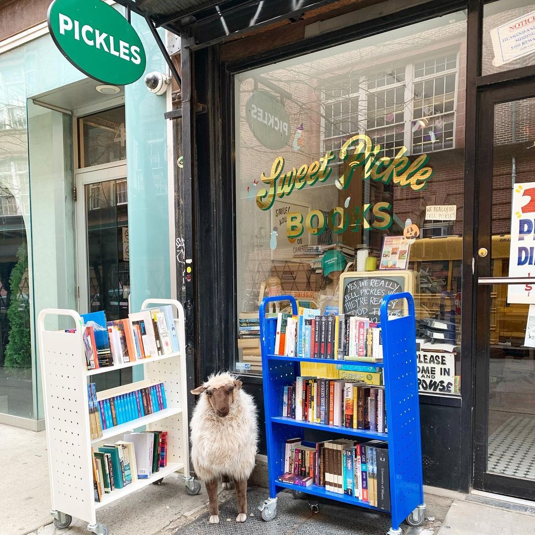 The sidewalk outside a NYC bookstore with two carts of books and a figure of a sheep.