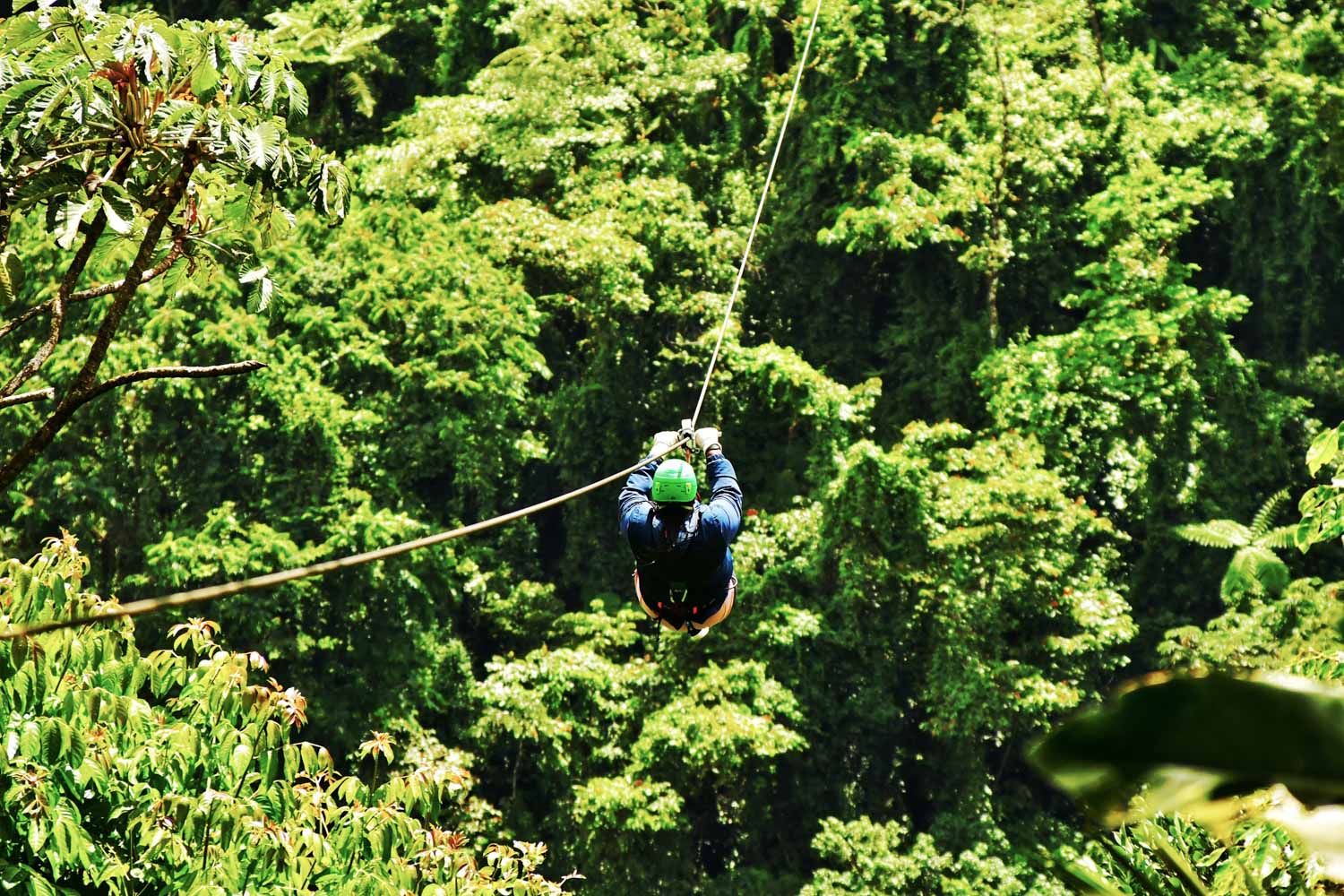 A person riding a zipline in a forest in Costa Rica.