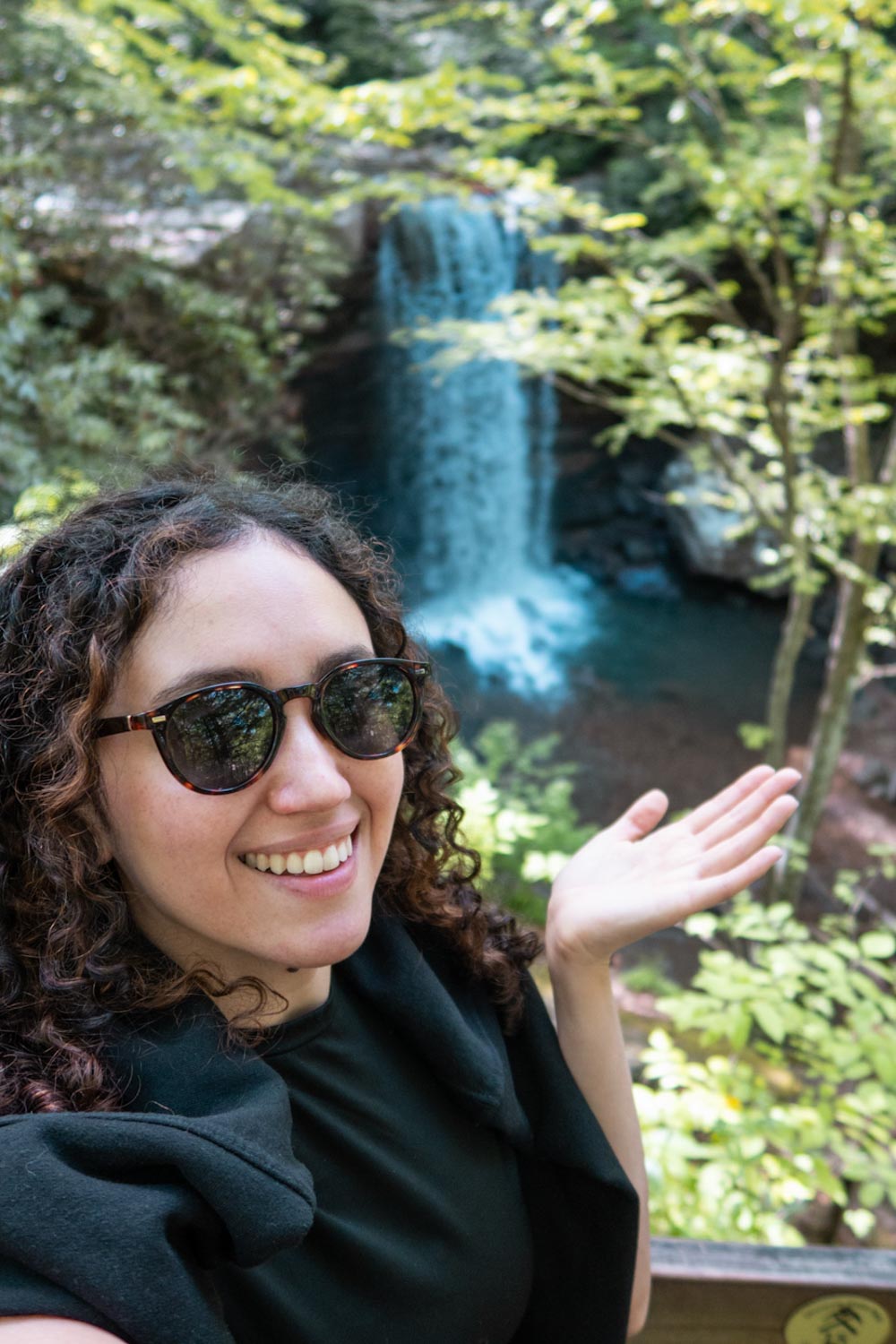 A woman posing in front of a waterfall from afar.
