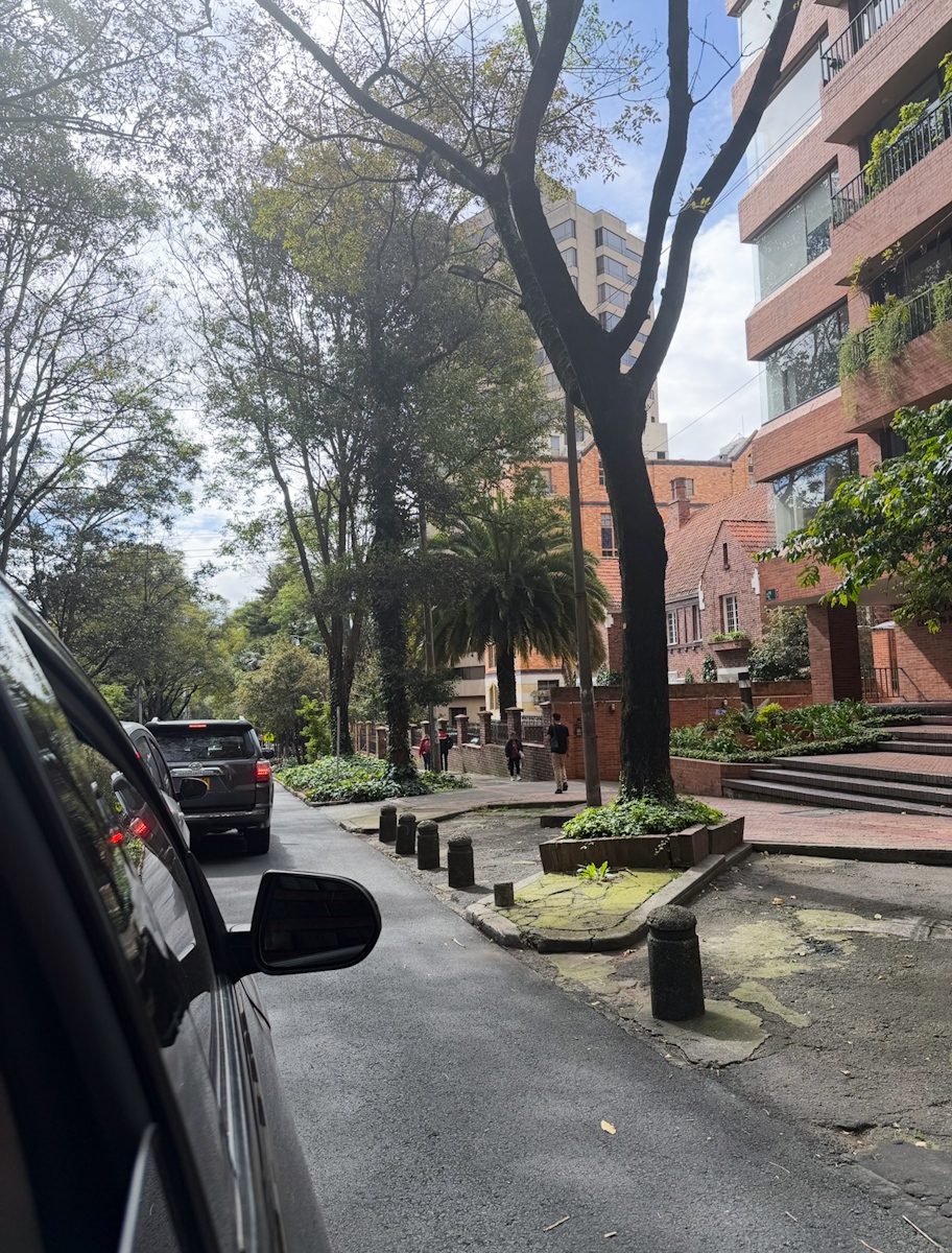 Cars on the road with trees in Bogota.
